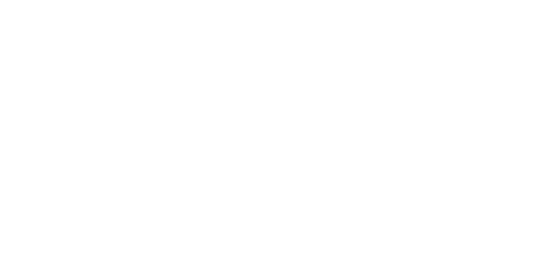 zedy.png
